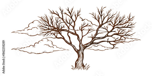 A stylized drawing of a bare tree with clouds against a dark background