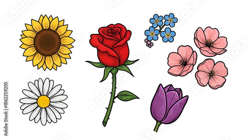 Colorful Flowers Illustration Featuring Sunflower, Rose, and Tulip