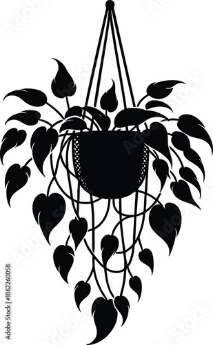 Hanging potted plant silhouette a decorative houseplant in a macrame hanger on an isolated white background for interior design