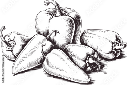 Five detailed bell peppers in black and line bellpeppers bellpepper vegetable vegetables