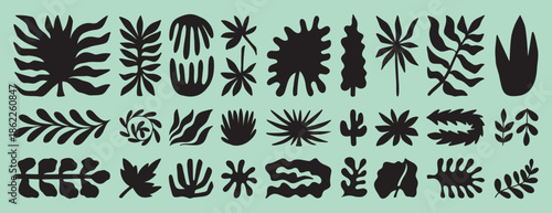 tropic shapes organic plant leaves form set. Exotic plants different modern nature floral shapes. Summer botanical boho silhouette. 