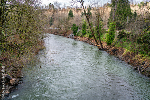 Cedar River In Winter