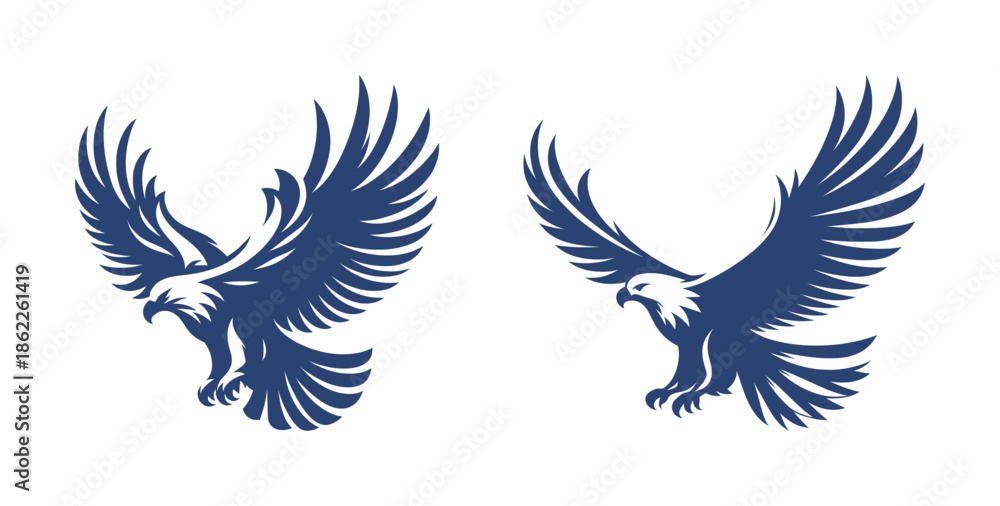 Fototapeta premium silhouette drawing of eagle, hawk, falcon (artwork 1)