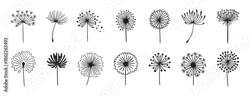 Dandelion flower silhouette doodle hand drawn icon set. Outline drawing Dandelion flower silhouette line clipart symbol collection