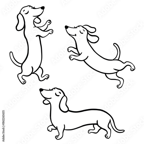 Cute dachshund dog line art illustration set. Hand drawn black and white dog poses isolated on transparent background, perfect for coloring books, kids design, prints, stickers and pet projects.
