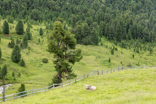 Hiking around Scuol, Swiss Alps