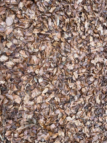 texture of the ground