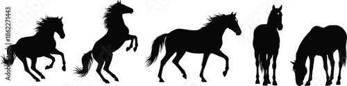 Set of 5 Horse actions silhouette horse galloping rearing up trotting and standing grazing side view