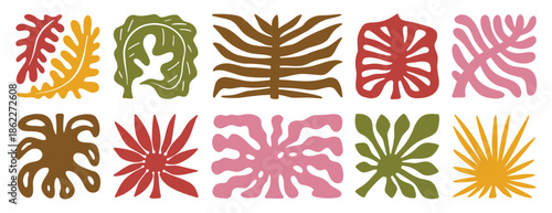 palm tree leaves boho silhouette nature set. groovy summer palm leaf geometric poster. summer abstract square tropical icons freehand retro style