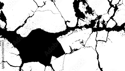 A striking black and white abstract image featuring fractured patterns and organic shapes resembling cracked earth