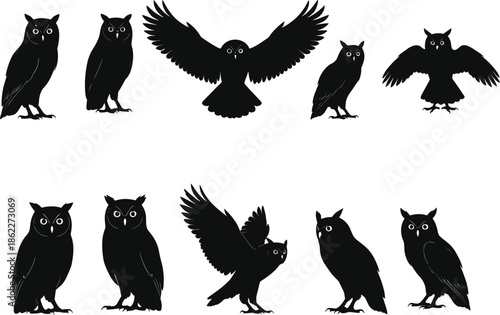 Owl silhouette poses collection, flying and standing nocturnal birds, wildlife night predator shapes, black owl figures, vector illustration set