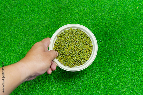 Assorted beans ingredients mung  for cooking