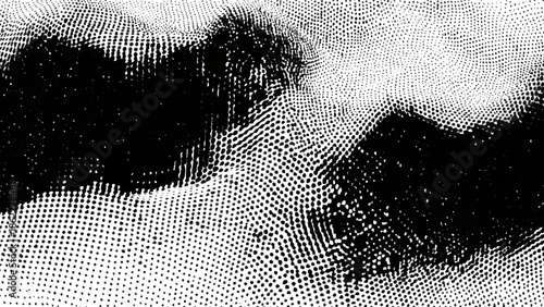 A grainy monochrome abstract image depicting blurred shapes and textures resembling a landscape or animal