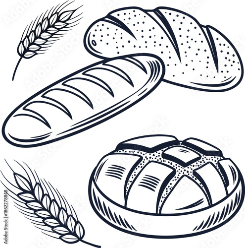 Bread, bakery, wheat, food, loaf, baguette, grain, sketch, drawing, fresh, pastry, cereal, breakfast, organic, meal