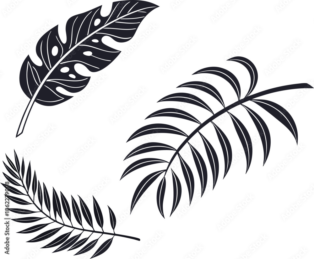Obraz premium Leaf, tropical, palm, summer, monstera, nature, jungle, foliage, plant, silhouette, botanical, exotic, beach, floral, decoration