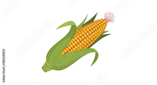 Realistic illustration of a fresh yellow corn on the cob with partially peeled green husks.