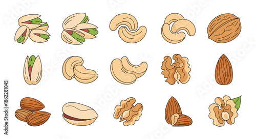 Comprehensive set of various edible nuts including pistachios, cashews, walnuts, and almonds in natural colors.