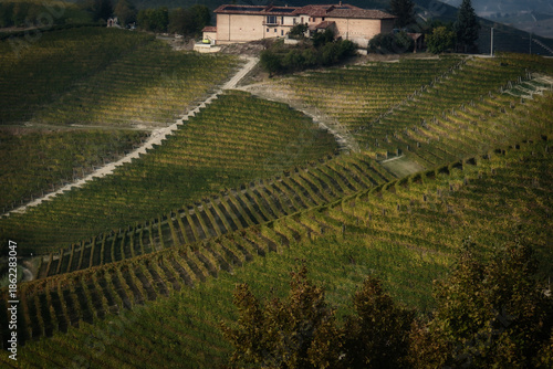 Vineyard landscapes in the Piedmontese Langhe in autumn after the wine harvest