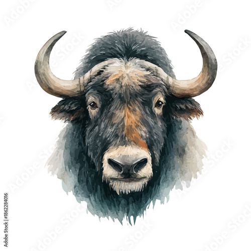 Yak Head, watercolor illustration, vector style, isolated on a white background.