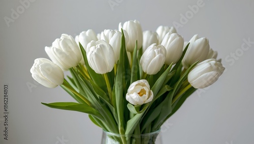 White Tulips in a Glass Vase With Green Leaves on a Neutral Background