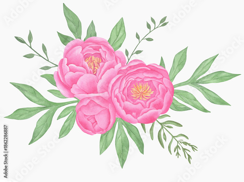 Hand painted floral elements set. Watercolor botanical illustration of peony and leaves.