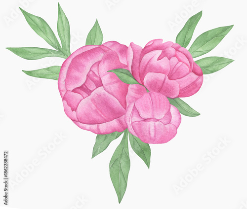 Hand painted floral elements set. Watercolor botanical illustration of peony and leaves.