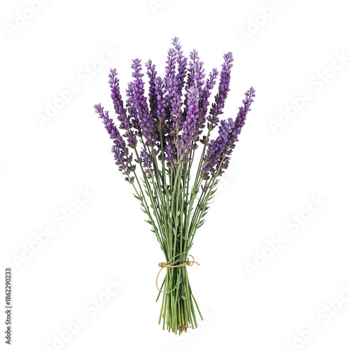 Lavender Bouquet is Displayed With Tied Stems