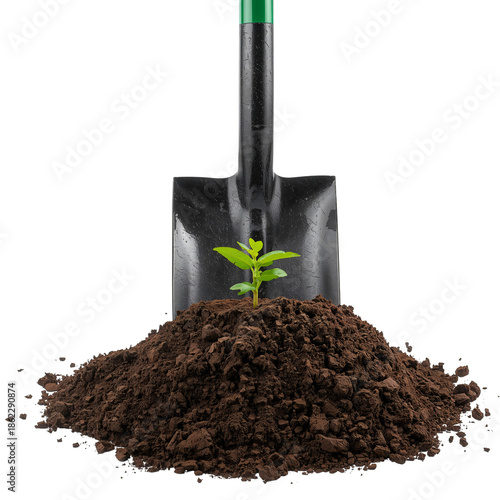 Gardener Uses Shovel to Plant Young Green Seedling in Fresh Soil