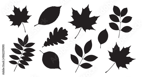 Collection of black leaf silhouettes isolated on transparent background