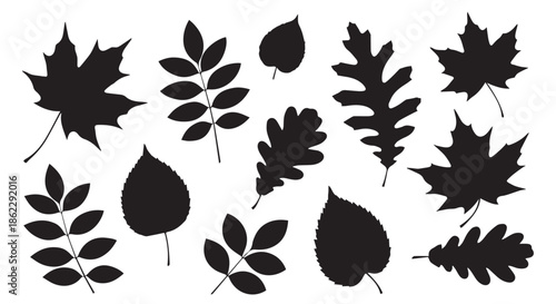 Collection of black leaf silhouettes isolated on transparent background