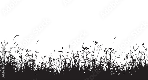 Silhouette of grass and plants against a transparent background