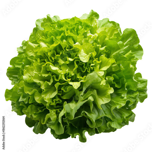 Fresh Green Lettuce Head Sits on a Plain Background Ready for Kitchen Use or ...