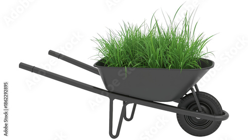 Green Plants in a Wheelbarrow on a Bright Surface During Daylight Hours