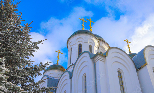 Photos Snow-covered Christmas trees against the background of a white Orthodox church with golden domes