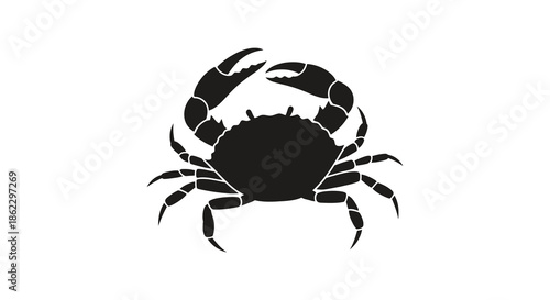 A striking black silhouette of a crab showcasing its shell claws and segmented legs