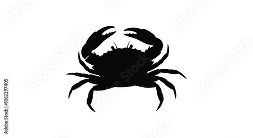 A striking black silhouette of a crab depicts its form against a clean white backdrop