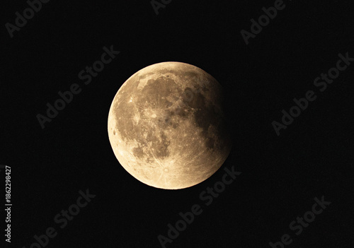 full moon in the night