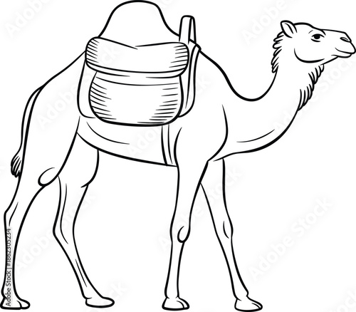 Camel drawing, desert animal illustration, Arabian camel sketch, dromedary outline, camel with saddle, safari animal design, livestock art