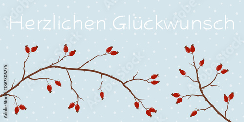 Herzlichen Glückwunsch - Schriftzug in deutscher Sprache. Winterliche Grußkarte mit Hagebuttenzweigen vor einem Schneehintergrund.