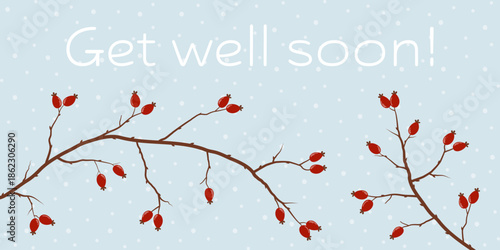 Get well soon - Schriftzug in englischer Sprache - Gute Besserung Winterliche Grußkarte mit Hagebuttenzweigen vor einem Schneehintergrund.