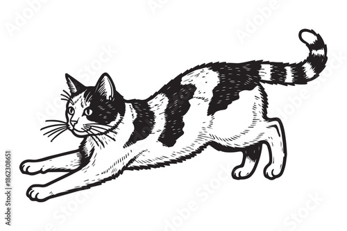 Dynamic Jumping Cat Woodcut Style Animal Illustration