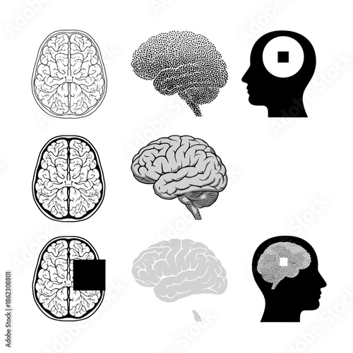 Diverse brain illustrations in monochrome Vector