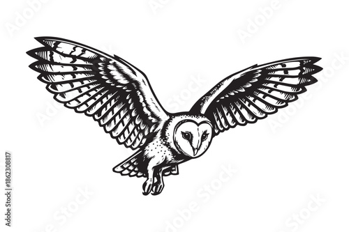 Barn Owl Flying Wildlife Woodcut Style Etched Illustration