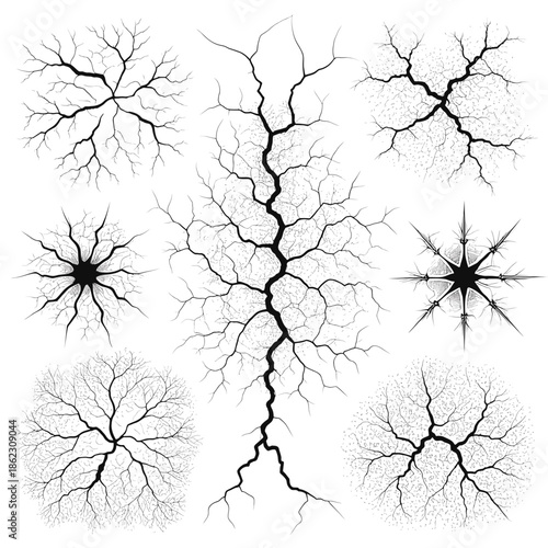 Intricate network of branching structures Vector