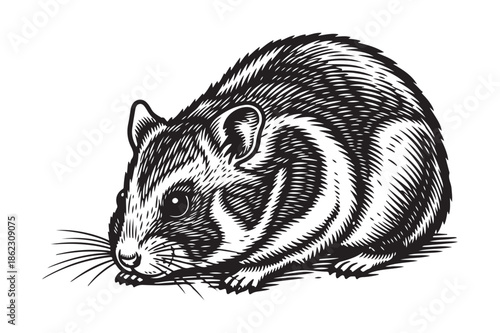 Small Mouse Rodent Vintage Woodcut Style Illustration
