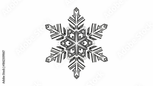 Intricate geometric snowflake illustration with sharp crystalline details.