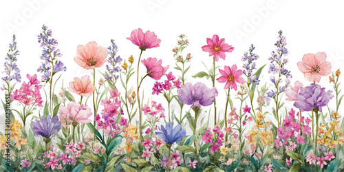 green, succulents, plants, flat lay, garden, nature, design, home decor, foliage, leafy, green plants, indoor plants, outdoor plants, cactus, aloe vera, echeveria, agave, fern, ivy, succulent garden, 