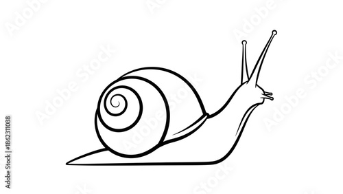 Black and white line art illustration of a garden snail with a spiral shell and antennae.