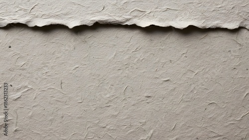 Textured gray paper background with rough edge
