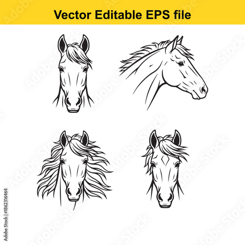  set of four horse head drawings in black and white line art